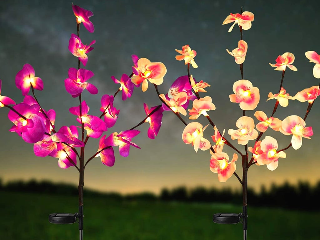 2 Pack Solar Power Orchid Flower LED Lights