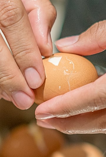 Raw Egg Peeling TikTok Videos Are Trending, but Why?