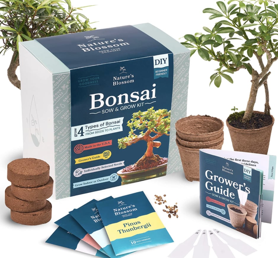 For Aspiring Plant Parents: Nature's Blossom Bonsai Garden Seed Starter Kit