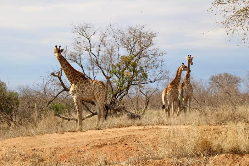 Travel Vaccinations to Get Beforehand