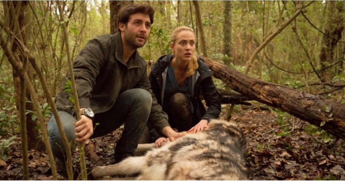 Is Zoo on Netflix Good? POPSUGAR Entertainment