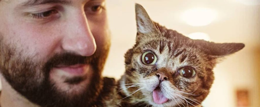 Petfinder Celebrates 20th Anniversary