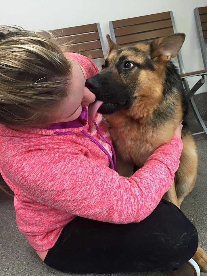 Quasi the Short Spine Dog