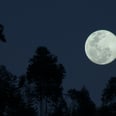 This Full Moon in Virgo Limpia Is All About Manifestation