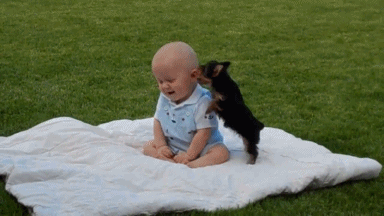 The Owner Who's Pulling Double Duty: She Brought Her Baby and Dog to the Park
