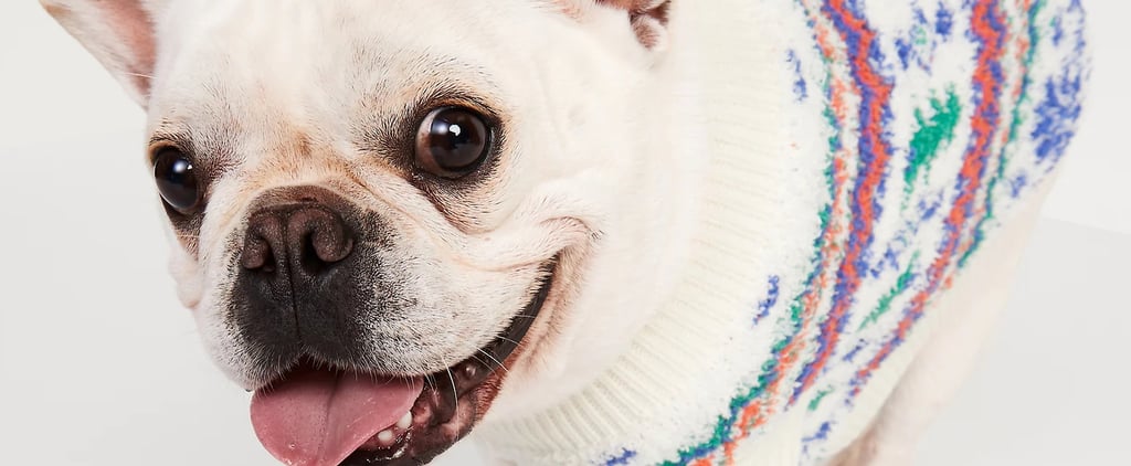 Ahem, Old Navy Has a Hidden Holiday Pet Shop With Pieces Your Dogs Will Wear Fur-ever