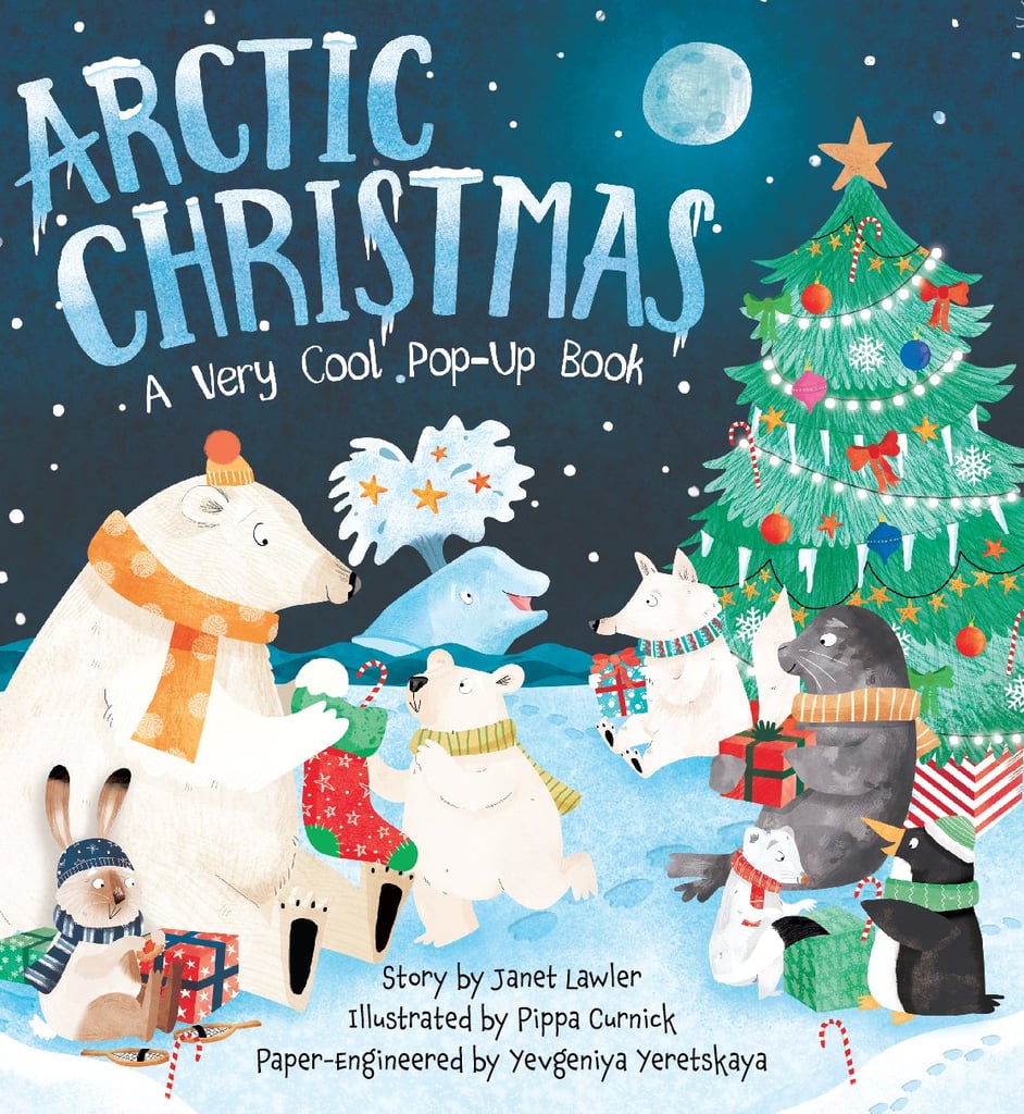 3 - 6岁:北极圣诞:一个很酷的立体书