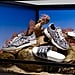 Adidas Snakeskin Sneakers Collection 2019