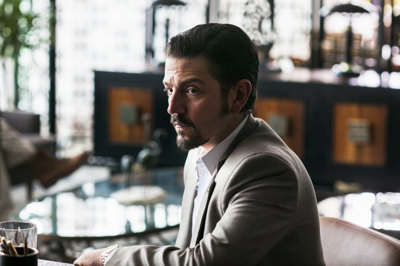 Who Does Diego Luna Play in Narcos Season 4?