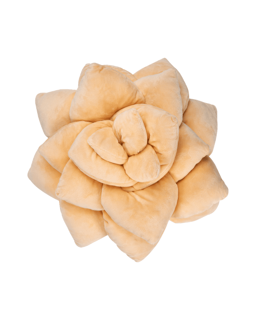 Succulent Plush Pillow — Blush Peach