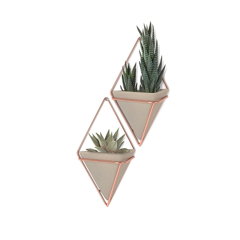 Wall Planter