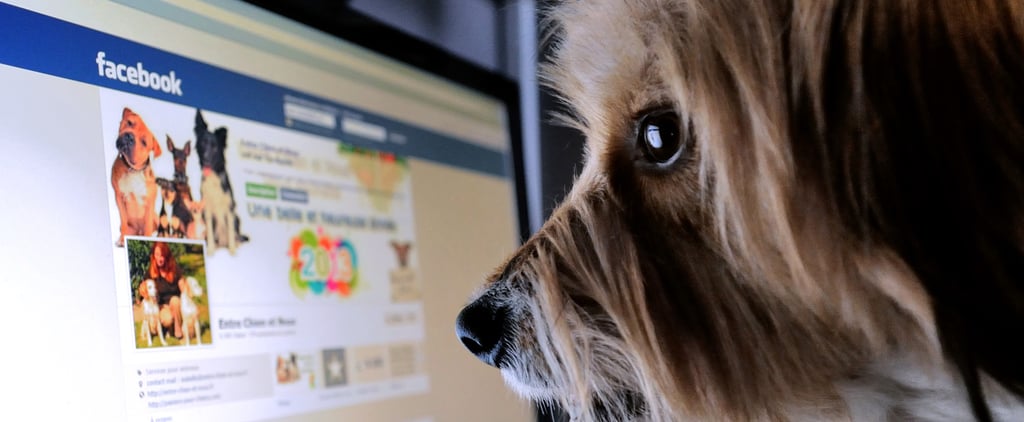 Facebook Overestimated Video Views