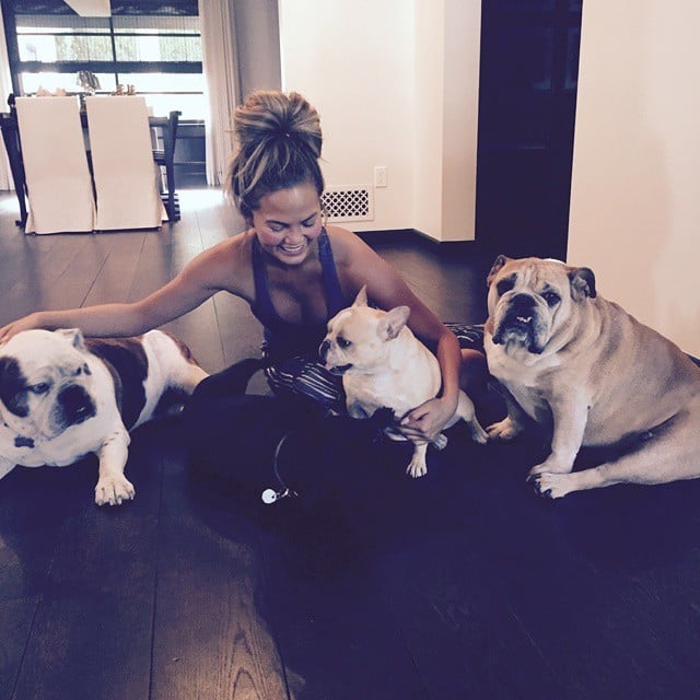 Chrissy Teigen Adorable Pictures Of Celebrities And Their Favorite Furry Friends Popsugar Pets Photo 5