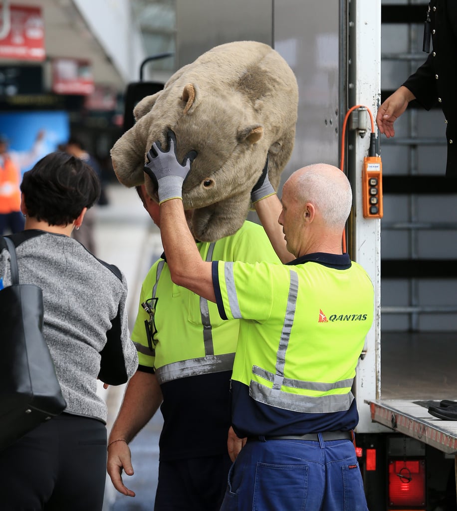 Clearly Prince George Was Not Leaving Without That Wombat