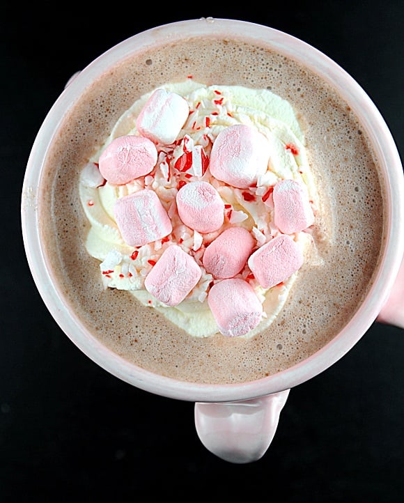 Peppermint Slow Cooker Hot Chocolate