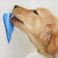 Bathing Your Dog Just Got So Much Easier Thanks to This Genius $11 “Slow Treater”