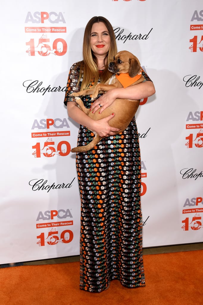 Drew Barrymore at ASPCA Bergh Ball 2016 Pictures