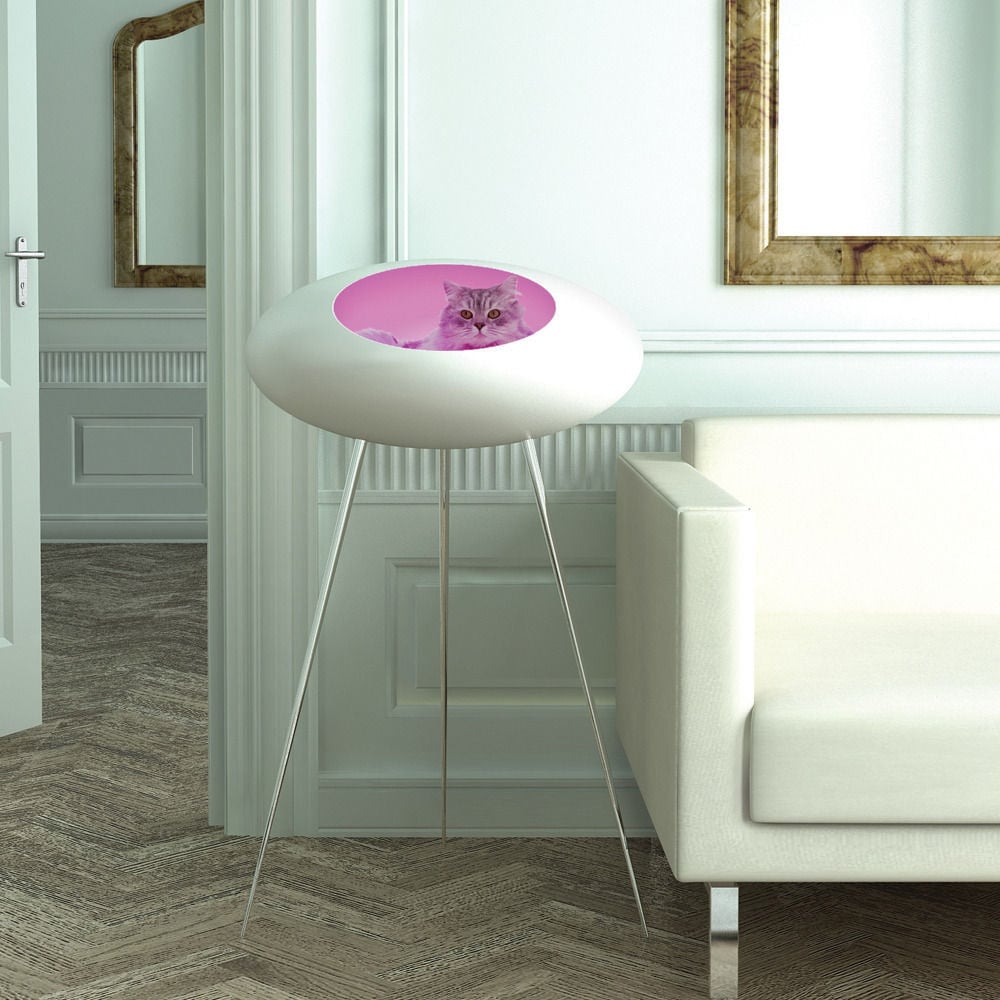This serenity cat pod that we need immediately, for ourselves ($1,000).