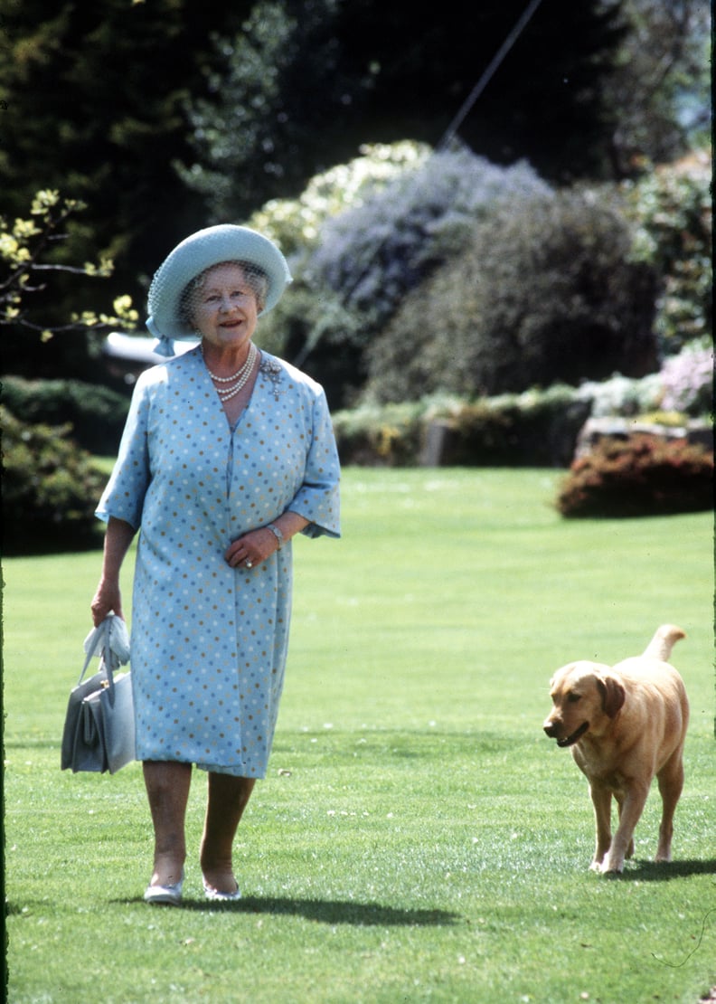 JERSEY, UNITED KINGDOM - JUNE 01:  Queen Elizabeth, The Queen Mother strolls in the garden with a dog during a visit to Jersey on June 01,1984 in Jersey, United Kingdom (Photo by Anwar Hussein/Getty Images)