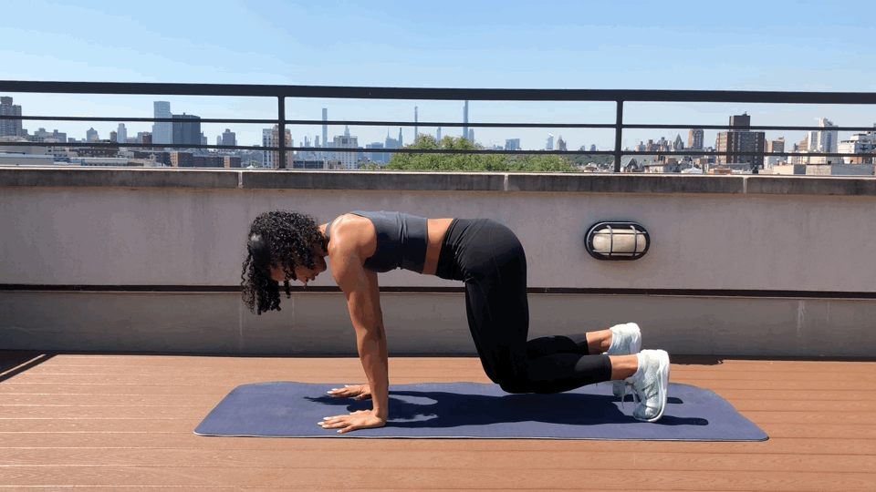 Bear plank on sale exercise