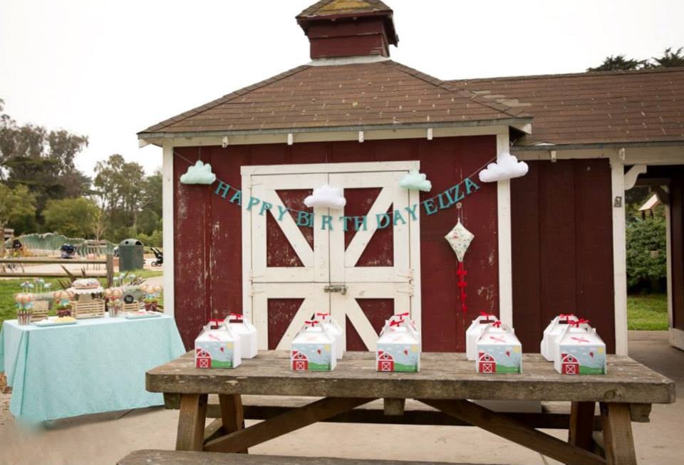 Vintage Kite Birthday Party
