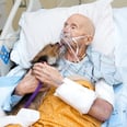 A Vet in Hospice Care Asked to See His Dog One Last Time, and the Reunion Photos Are Intensely Emotional