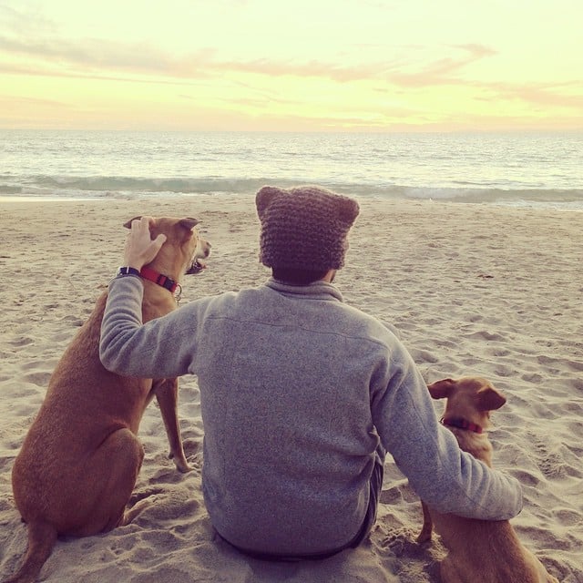 Lauren Conrad and William Tell took their dogs to the beach.