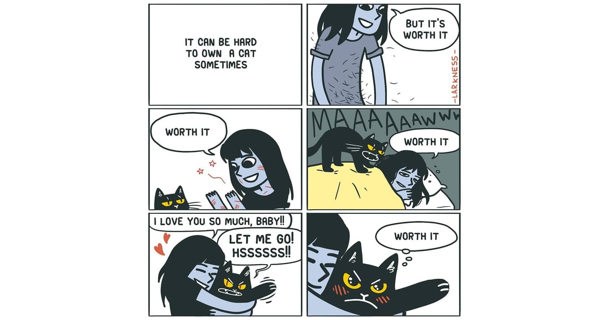 On owning a cat being totally worth it . . . Illustrator's Funny