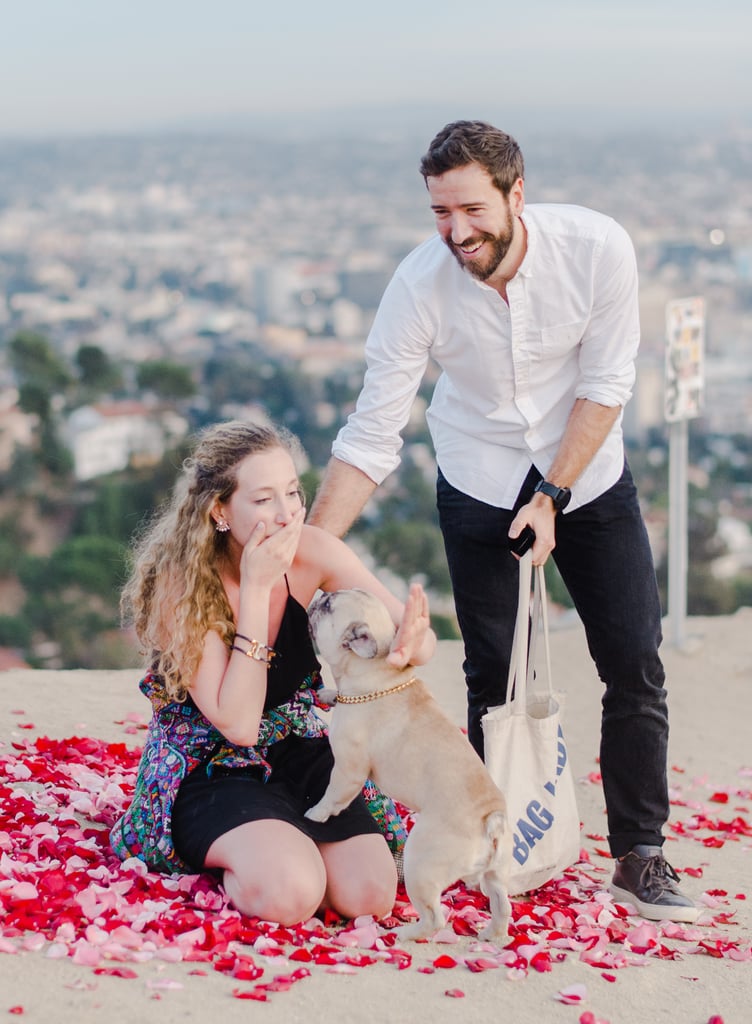 Man Proposes to His Girlfriend With 16 Dogs