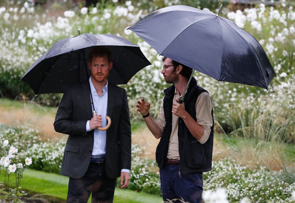 William and Harry at Princess Diana Garden Kensington Palace