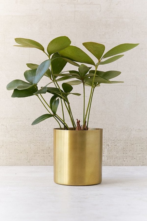 Mod Metal Planter ($10)