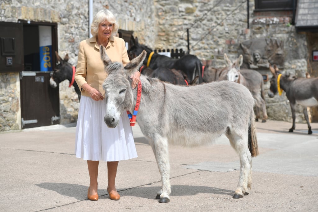 Camilla Parker Bowles Birthday Photos 2019