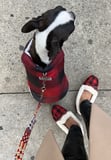 I Found the Perfect Slip-Ons For Errands and Dog Walking (but Shhh, They’re Actually Slippers)