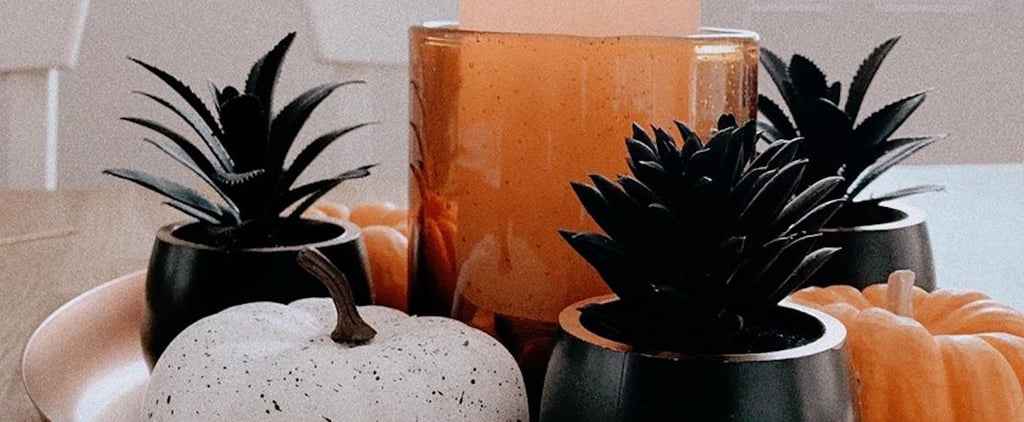 Target Is Selling All-Black Halloween Succulents For $3