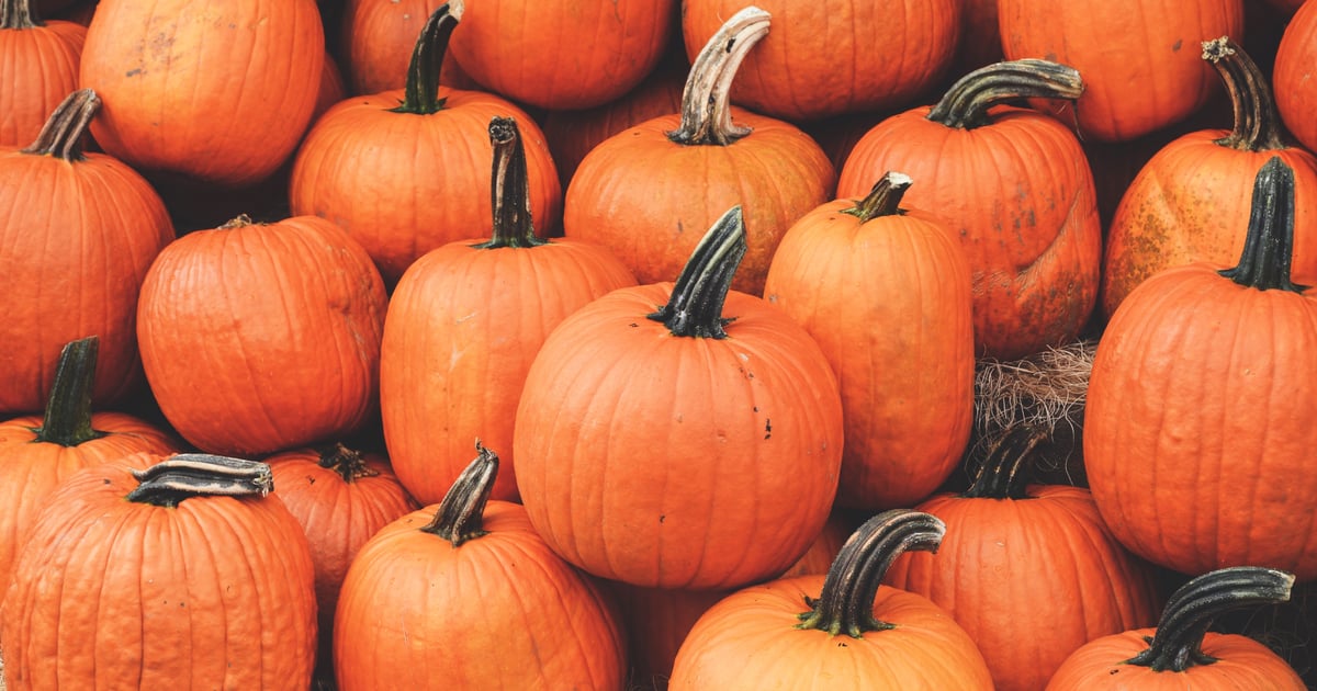 When To Plant Pumpkins To Have Them For Halloween Popsugar Home