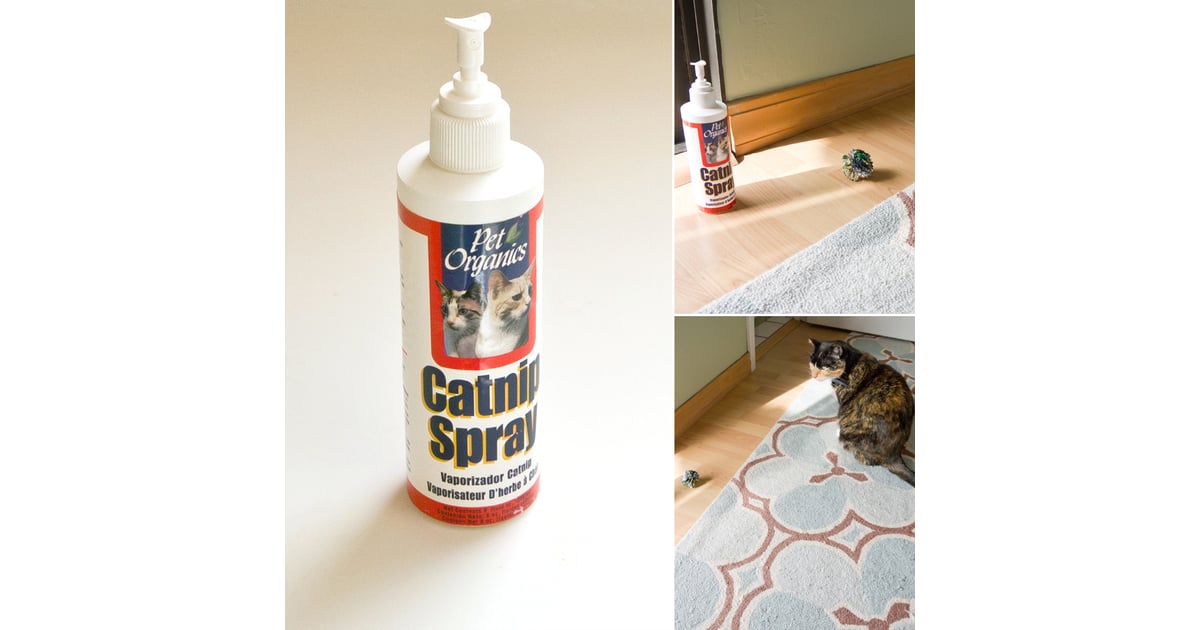 catnip spray tesco