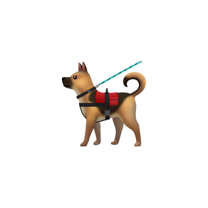 "Service Dog With Vest and Leash" Apple DisabilityThemed Emoji