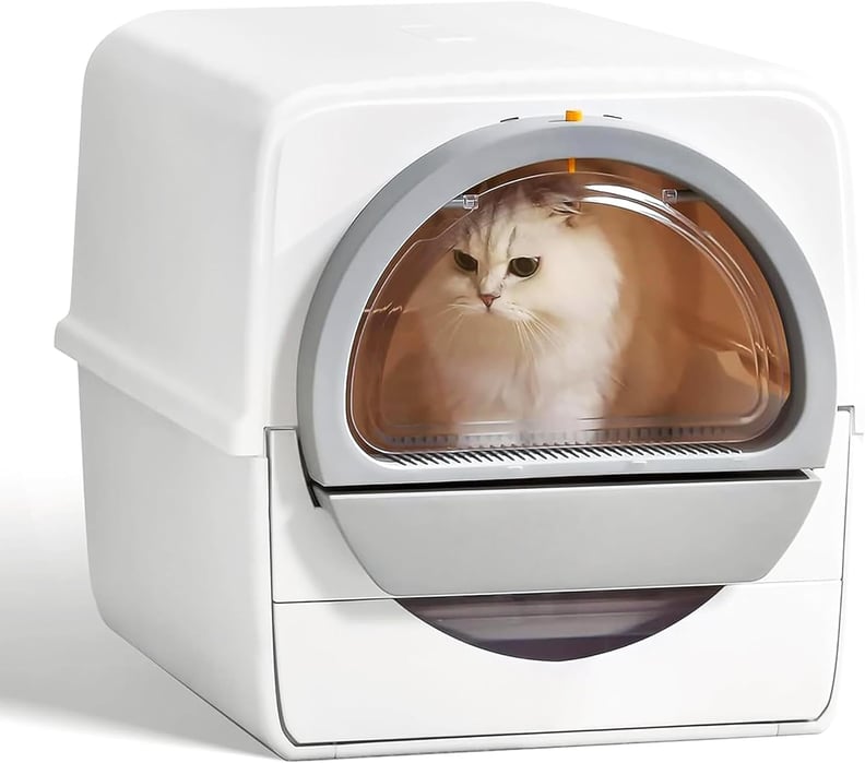 Best Self-Cleaning Litter Box With Enclosed Lid