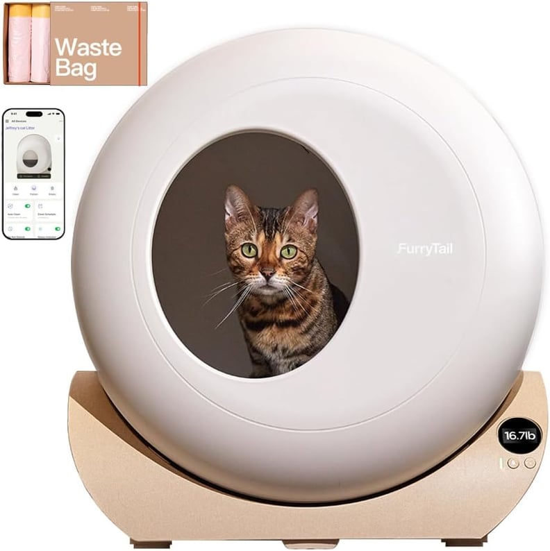 Best Self-Cleaning Litter Box With Sleek Design