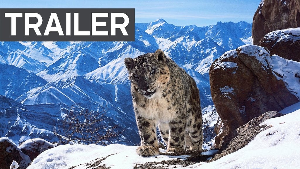 Best Nature Documentaries on Netflix 2019 POPSUGAR Entertainment