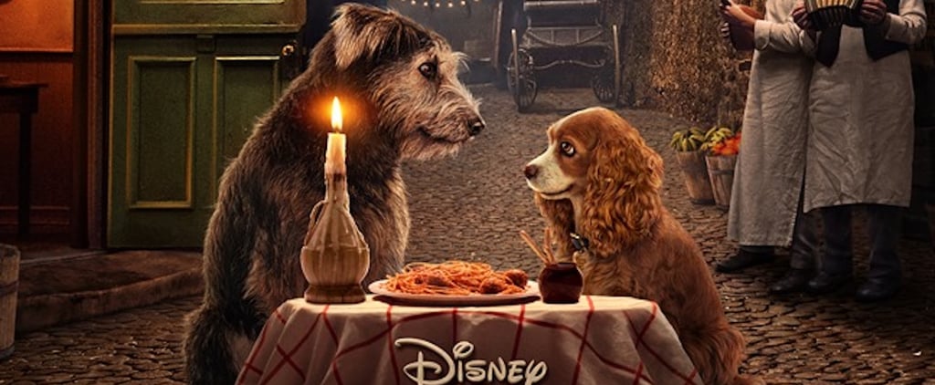 Lady and the Tramp Live-Action Remake Movie Poster