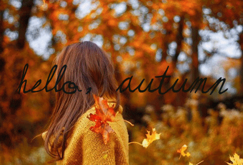 Fall is your favorite holiday, because sweaters.