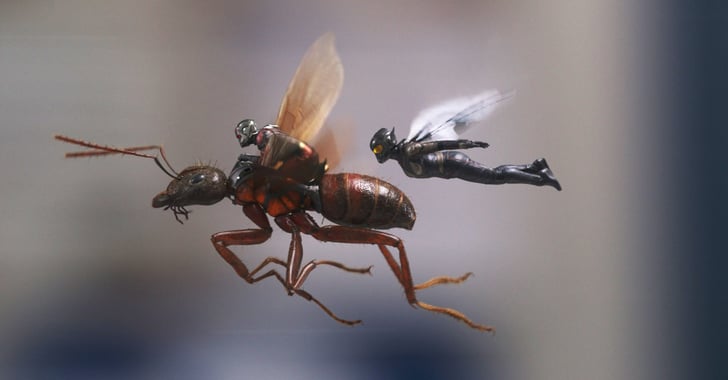How Many Postcredit Scenes Are in Ant-Man and the Wasp?  POPSUGAR Entertainment