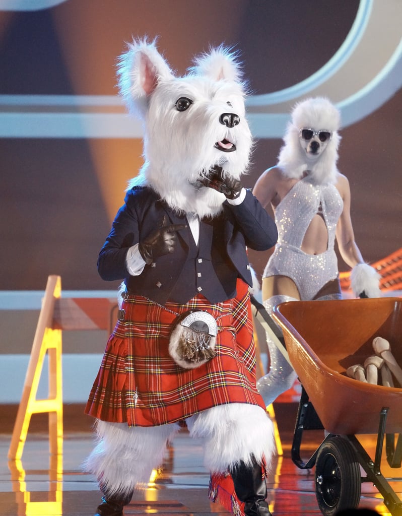 Who Is the McTerrier on "The Masked Singer"?