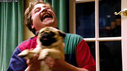 Zach Galifianakis dancing with a pug.