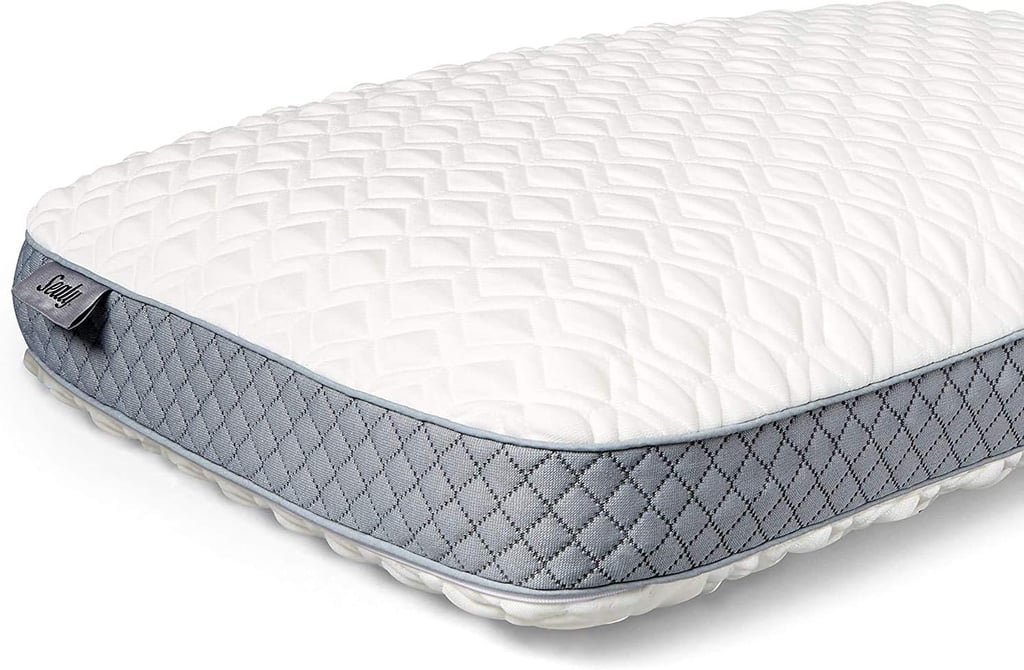 Sealy Memory Foam Molded Pillow