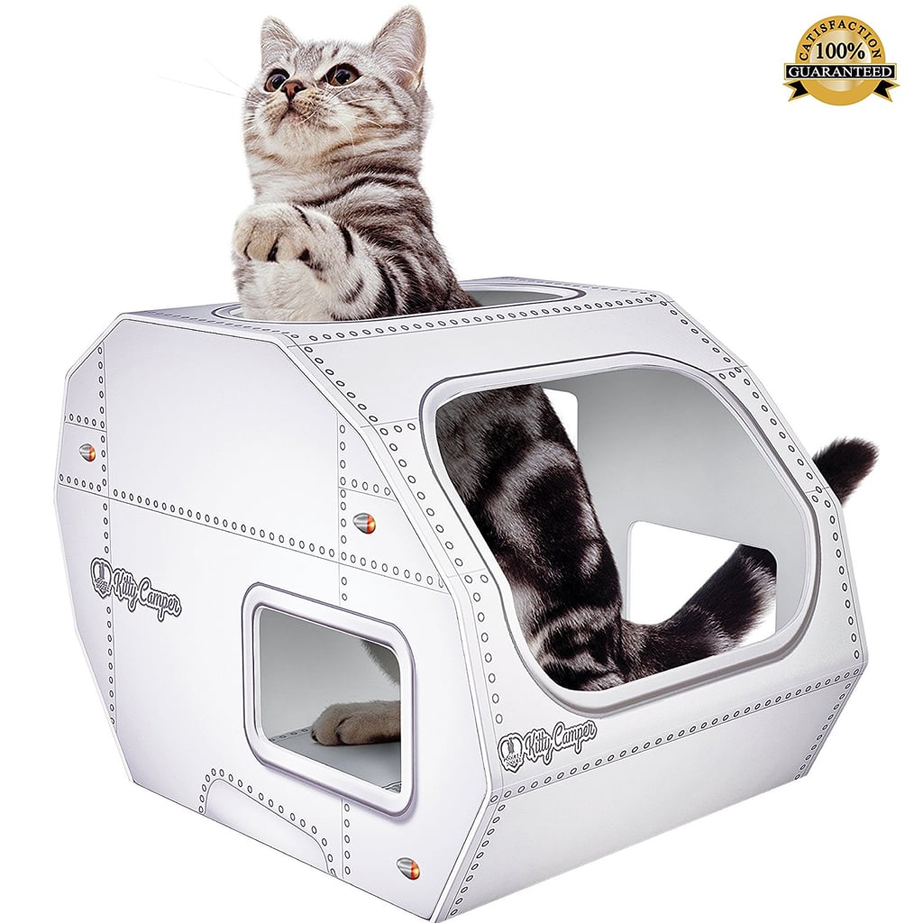 Moggiez & Doggiez Cat House