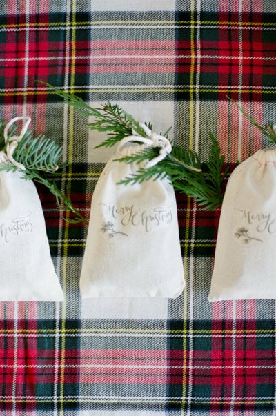 Christmas Tree Seedling Favors
