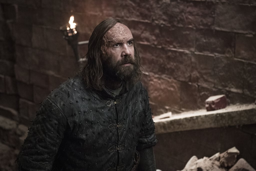 Sandor “the Hound” Clegane