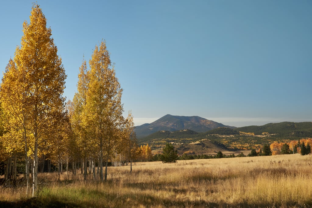 Flagstaff, Arizona